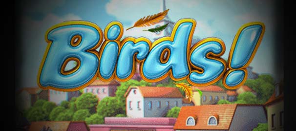 PlayKaro Birds card